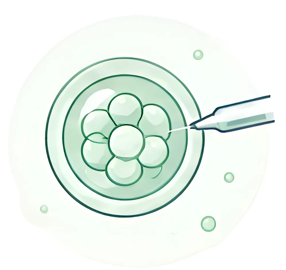 Assisted Embryo Hatching