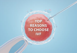 IVF Doctor